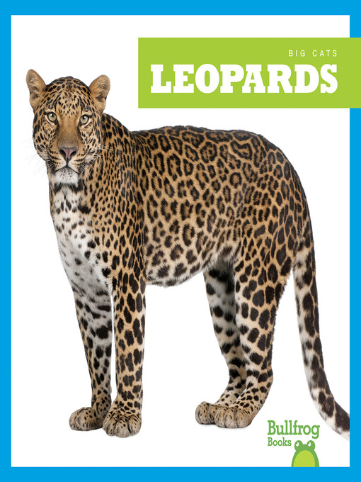 Cover image for Leopards